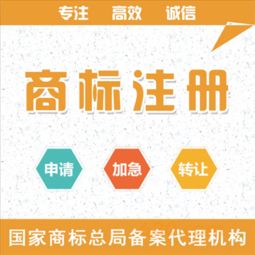 網(wǎng)絡(luò)技術(shù)服務(wù) 一眾網(wǎng)絡(luò)技術(shù)中心專業(yè)解析