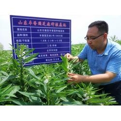 出口品質芝麻醬，就選豐香園芝麻食品——您值得信賴的咨詢合作伙伴